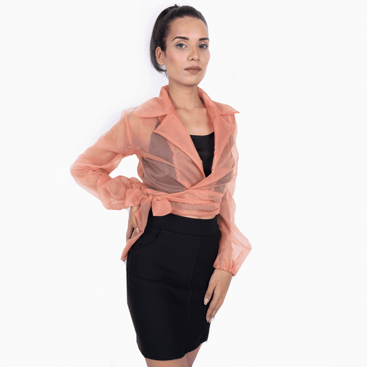 Transparent Mesh Long Sleeve Deep V-Neck Knot Top - Peach - DrapeMe - Your Affordable place for In-Trend clothing