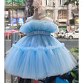 Puffy Tulle Girl Dress - DrapeMe - Your Affordable place for In-Trend clothing