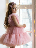 Birthday Girl Princess Tulle Dress With Hair Band - DrapeMe - Your Affordable place for In-Trend clothing
