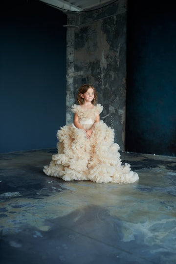 Beige Tulle Birthday Dress for Baby Girl