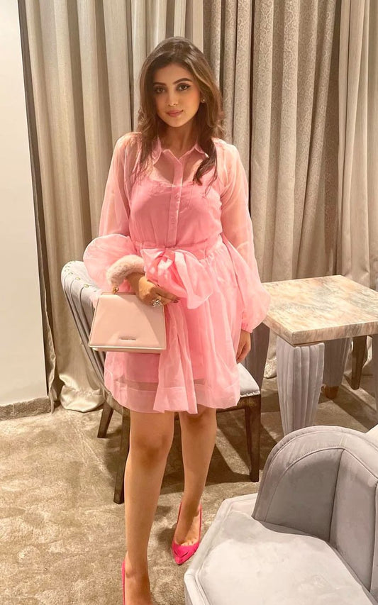 Petite Pink Organza Long Sleeve Skater Shirt Dress
