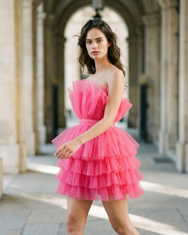 The Chloé Tulle Illusion Dress