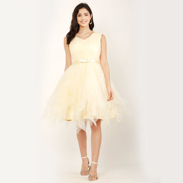 V- Neckline Tulle Party Wear Dress – Cream