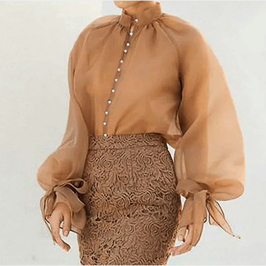 Long Lantern Sleeve Shirt Style Brown Top