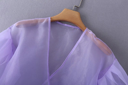 Spring Transparent V-Neck Crop Organza Top - Lilac