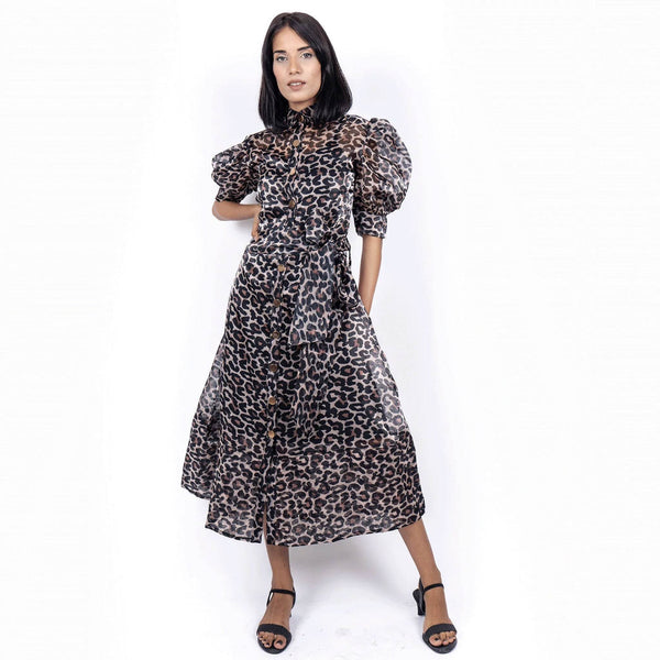 Sophisticated Collar Neckline Leopard Print Dress – Black - DrapeMe - Your Affordable place for In-Trend clothing